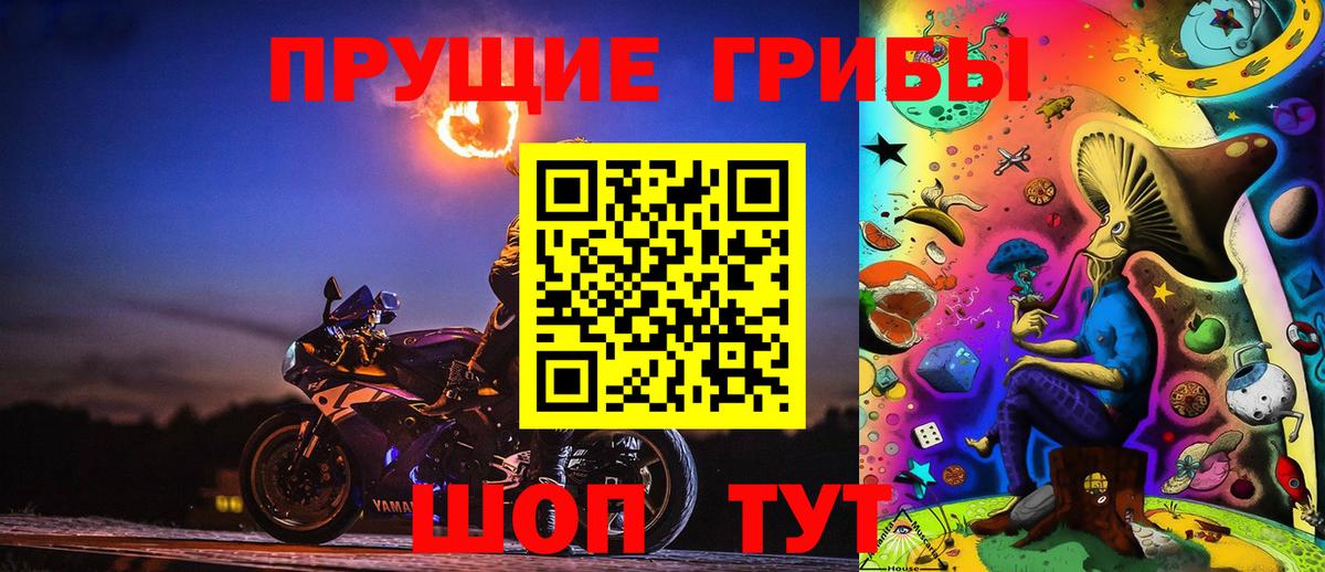 Галлюциногенные грибы Cubensis Орёл