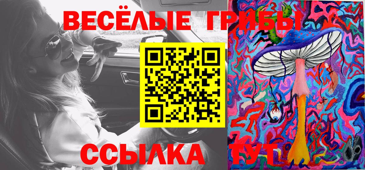 закладка  Вход с VPN  Галлюциногенные грибы Magic Shrooms  Орёл  Галлюциногенные грибы мухоморы 